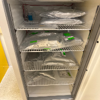 Thermo TSX Series -20C Freezer image 1